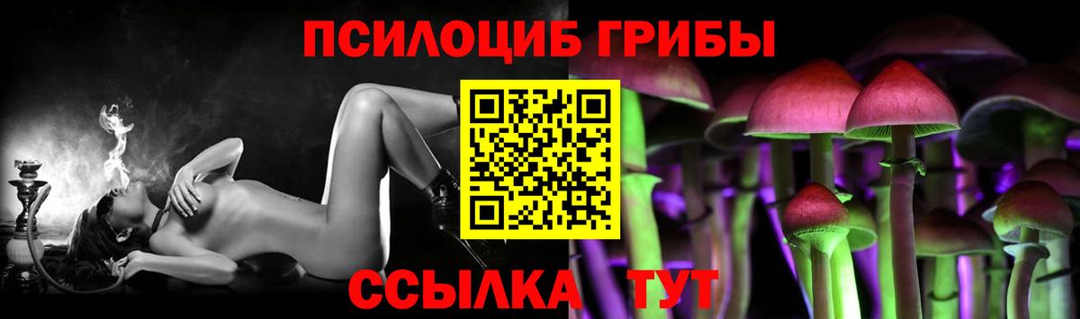Галлюциногенные грибы Psilocybe  Вход с VPN  Ленинск-Кузнецкий 